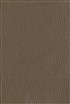 GL5 SK5539 
                       
                         (SONIC BRONZE)
                         
                         